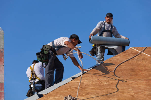 Roof Waterproofing Services in Claryville, KY