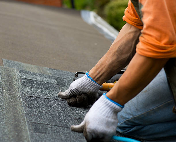 Best Roof Leak Repair  in Claryville, KY